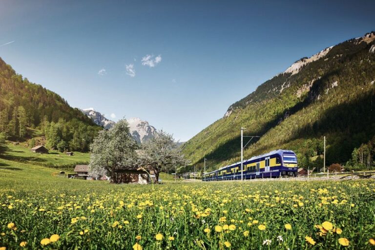 Day Trip From Zurich: Grindelwald First Mountain Adventure Itinerary Highlights