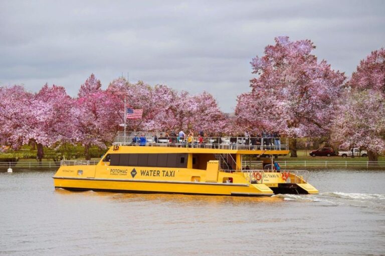 Dc: Hop On Hop Off Bus Tour & Sightseeing Water Taxi Cruise Tour Overview And Pricing