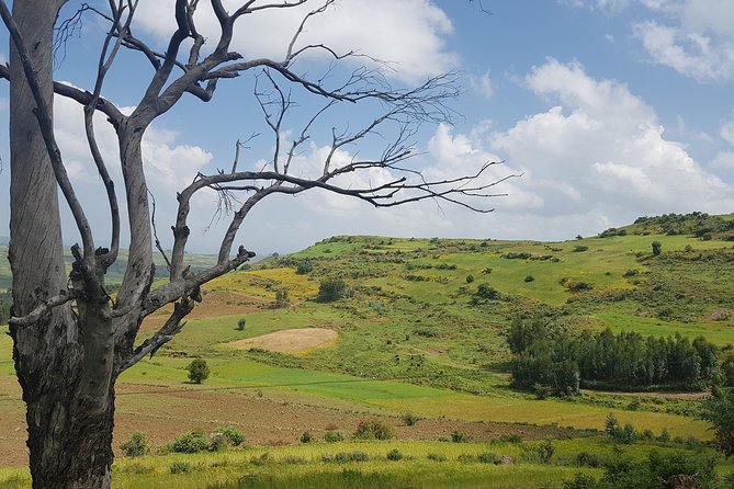 Debre Libanos Monastery And Jemma River Gorge Day Tour From Addis Ababa Tour Overview