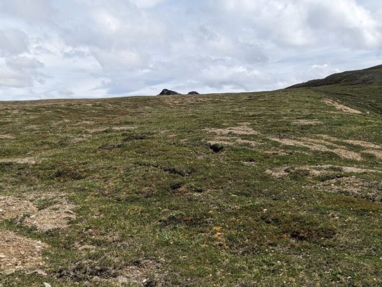 Denali: 5 Hour Guided Into The Mountains Hiking Tour Panoramic Mountain Views