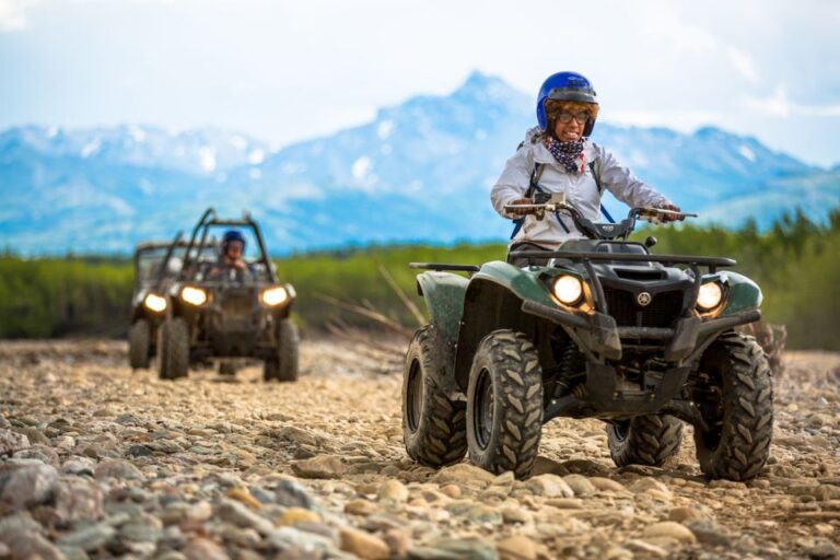 Denali: Atv Trailblazer Tour Overview Of The Atv Tour