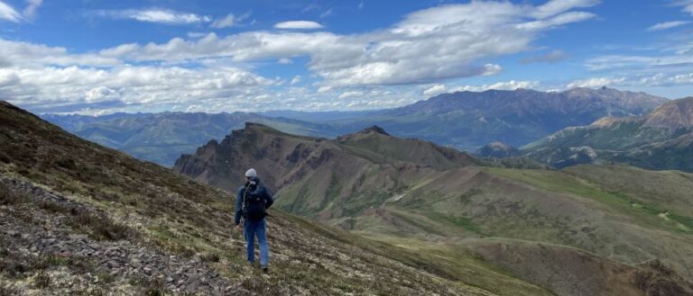 Denali: Denali National Park Walking Tour Overview Of The Tour