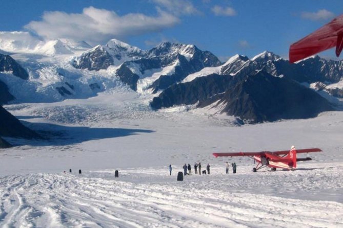 Denali Flyer Flightseeing Tour From Talkeetna Tour Overview