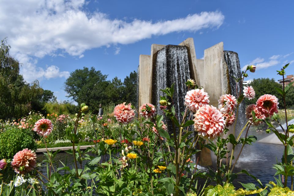 Denver City Walking Tour - Highlights