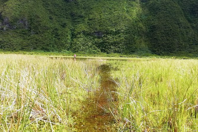 Descent To Caldeira Do Faial The Perfect Adventure Meeting And Pickup Details