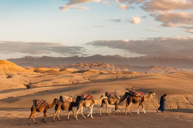 Desert Agafay Dinner Show And Camel Ride With Magical View Overview Of The Tour