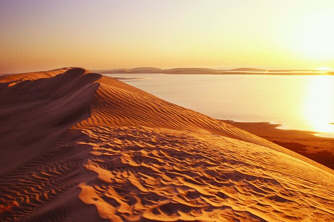 Desert Safari and Inland Sea(Private Tour) - Activities