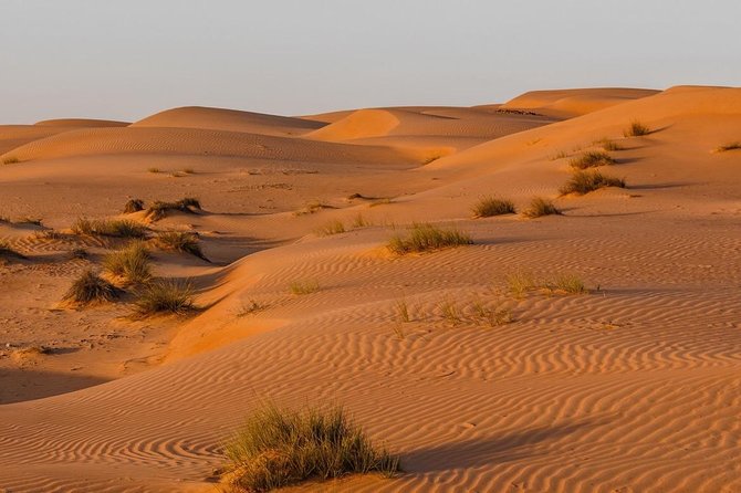 Desert Safari Sharing Tours - Inclusions