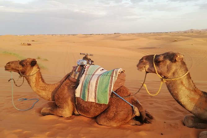 Desert Trip From Fes To Fes Via Merzougua (2days,1night) Inclusions