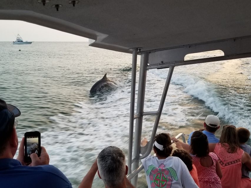 Destin: Dolphin Watch Cruise - Activity Overview