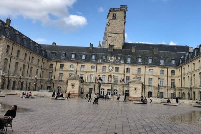 Dijon: A Self Guided Audio Tour Through The City The Citys Emblem: The Owl