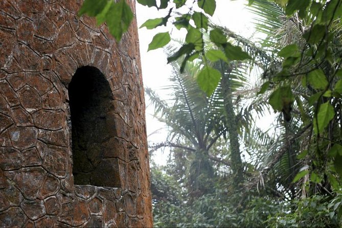 Discover El Yunque: Half Day Rainforest Tour Included Amenities