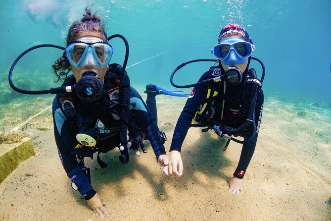 Discover Padi Diving In Barcelona Overview Of The Diving Experience