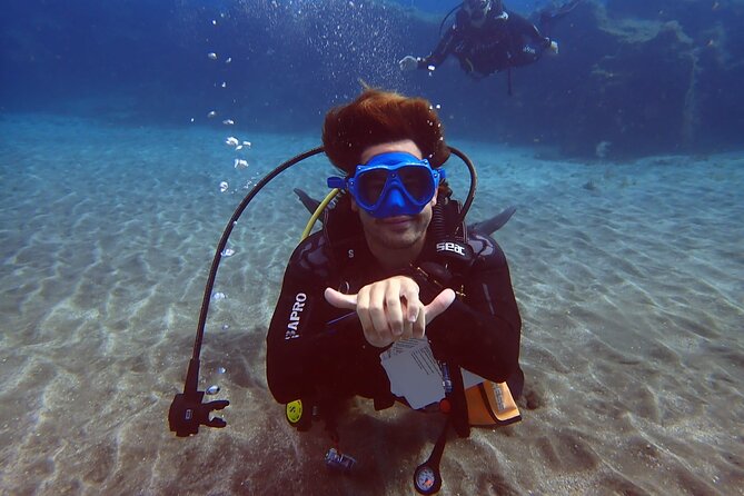 Discover Padi Scuba Diving In The Area Of Tortugas In Playa De Abades Explore The Underwater World Of Tenerife