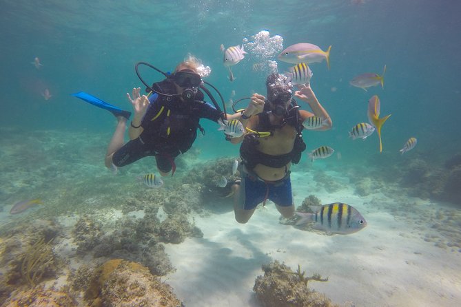 Discover Scuba Diving - DSD - Participant Eligibility