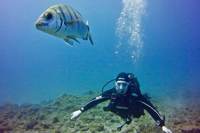 Discover Scuba Diving First Step To Your Certification Inclusions And Amenities