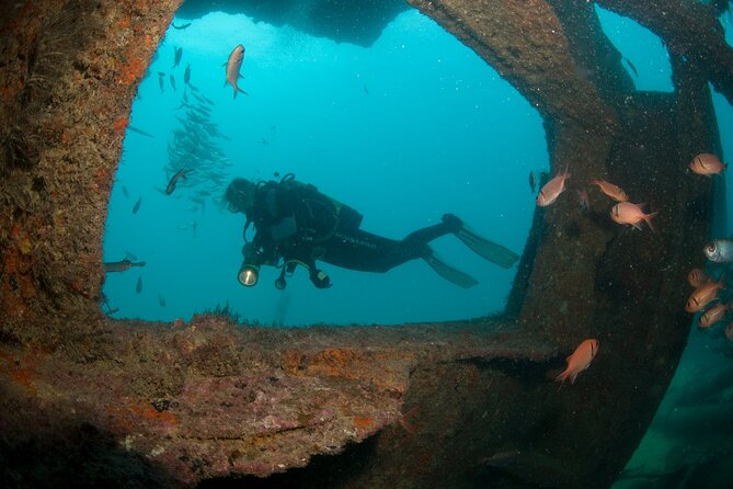 Discover Scuba Diving In Sal Key Features And Inclusions