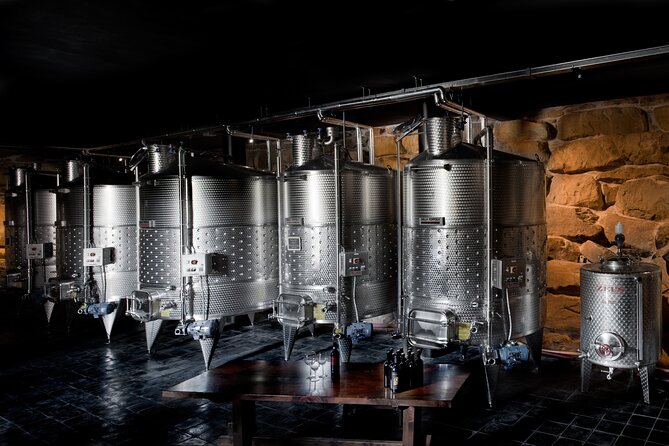 Discover Sustainable Wines In A Guided Tour And Tasting Sustainable Winemaking