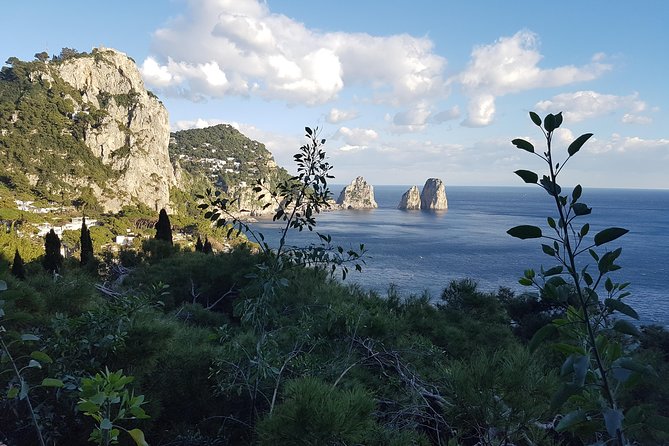 Discovering Capri In One Day Inclusions