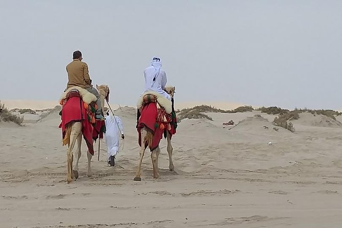 Doha Combo City and Half Day Desert Safari Tour No Hidden Cost - Inclusions and Amenities