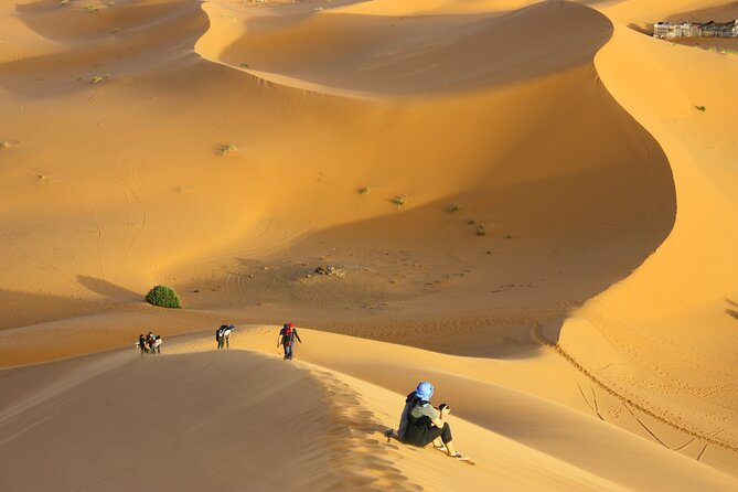 Doha Private Half-Day Guided Desert Safari Tour - Tour Overview