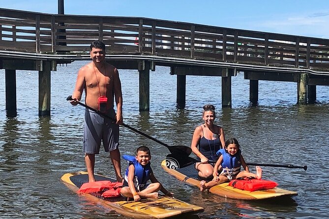 Dolphin and Manatee Stand Up Paddleboard Tour in Daytona Beach - Overview and Experience