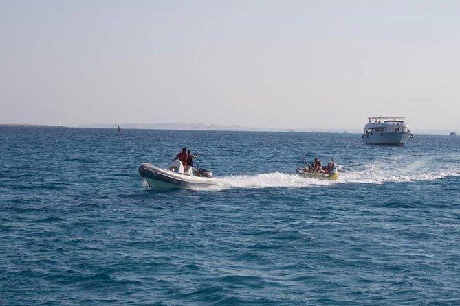 Dolphin Tour In Hurghada Meeting And Pickup