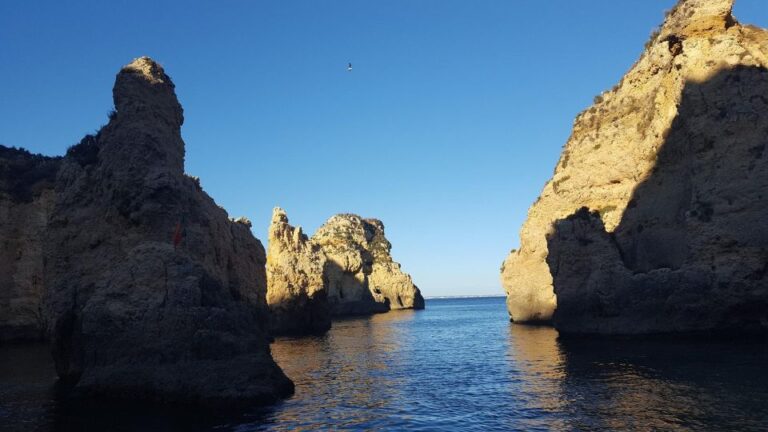 Dolphin Watching And Local Caves Tour Overview