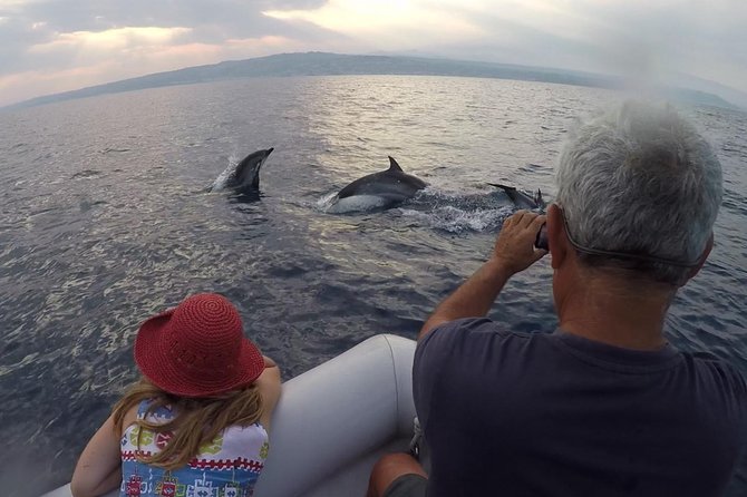 Dolphin Watching & Conservation Dolphins In The Gulf Of Catania Tour Overview