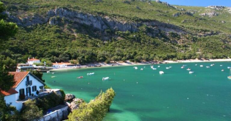 Dolphin Watching: Sesimbra / Arrábida Natural Park Tour Overview And Pricing