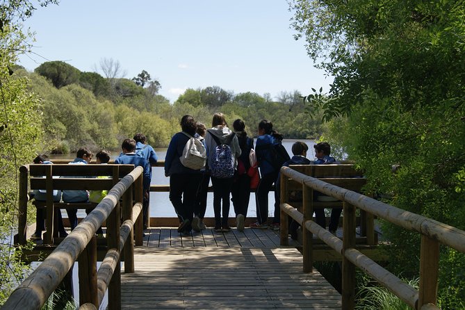 Doñana National Park in 4x4 and El Rocío - Tour Overview