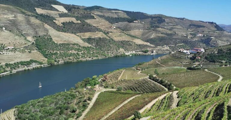 Douro Exclusive: The Full Tour! Full Day Tour Overview