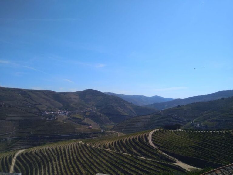 Douro Valley & Amarante From Porto Or Guimarães Explore Unesco World Heritage Douro Valley