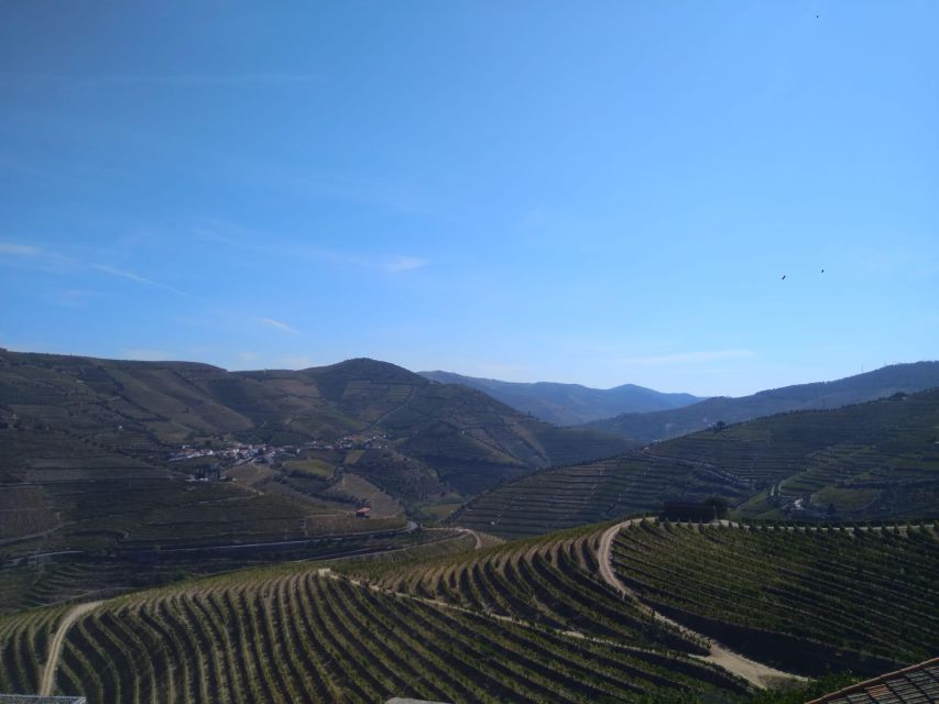 Douro Valley & Amarante - From Porto or Guimarães - Explore UNESCO World Heritage Douro Valley