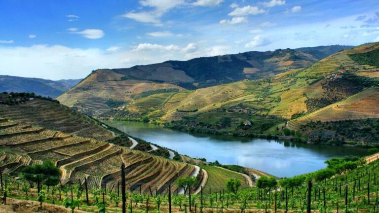 Douro Valley: Full Day Private Tour From Porto Explore The Douro Valley