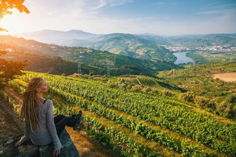 Douro Valley: Full Day Private Wine Tour With Lunch Tour Overview