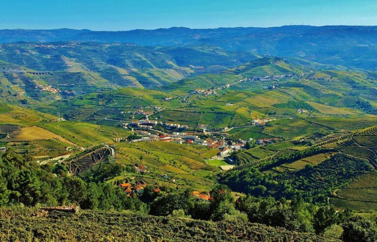 Douro Valley Full Day Tour With Wine Tasting & Lunch Tour Details