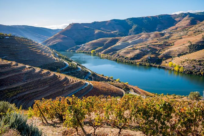 Douro Valley: Private Tour With Lunch And Wine Estate All Inclusive Tour Overview