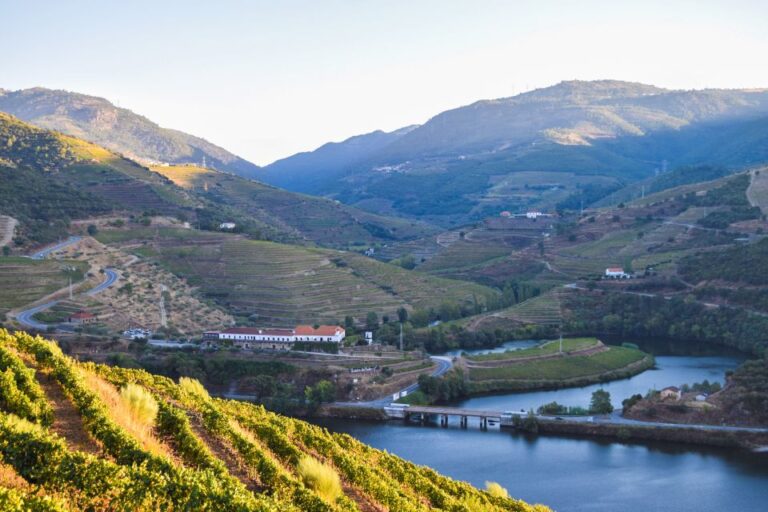 Douro Valley: Quinta Do Tedo Wine Experience With Picnic Overview Of The Experience