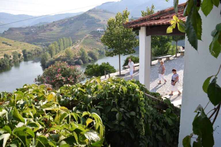 Douro Valley: Quinta Do Tedo Winery Tour And Tasting Tour Overview