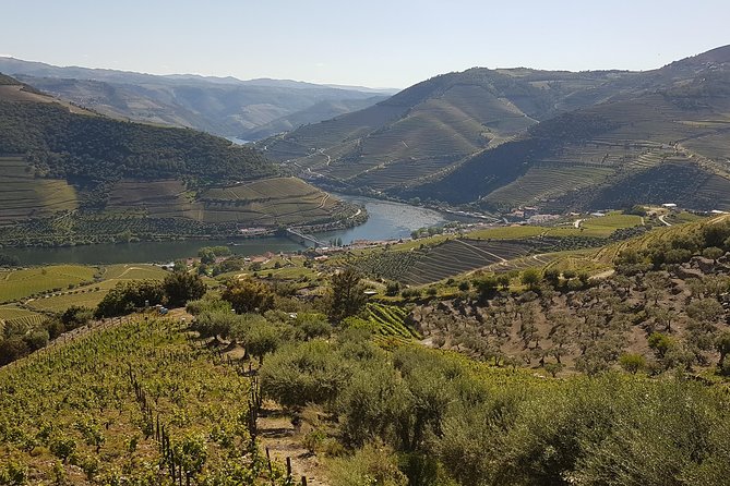 Douro Valley Tour Wine And Breathtaking Views Overview Of The Douro Valley