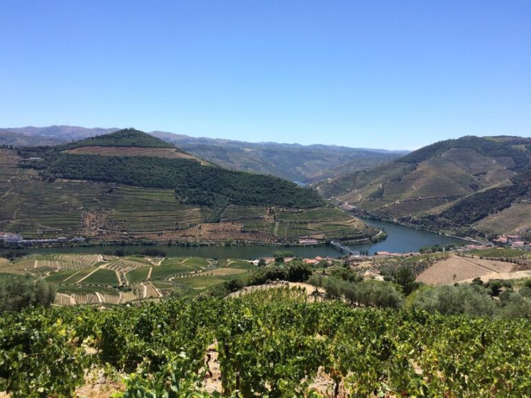 Douro Valley Wine Tasting From Porto Tour Details