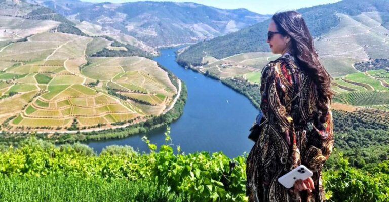 Douro Valley:expert Wine Guide,boat, Wine, Olive Oil & Lunch Tour Overview