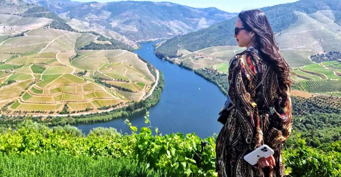 Douro Valley:Expert Wine Guide,Boat, Wine, Olive Oil & Lunch - Tour Overview