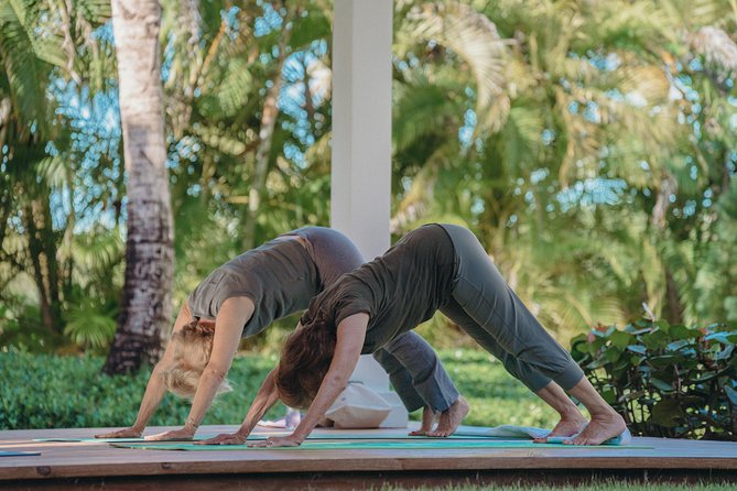 Drop-In Group Yoga Class - Punta Cana - Class Overview