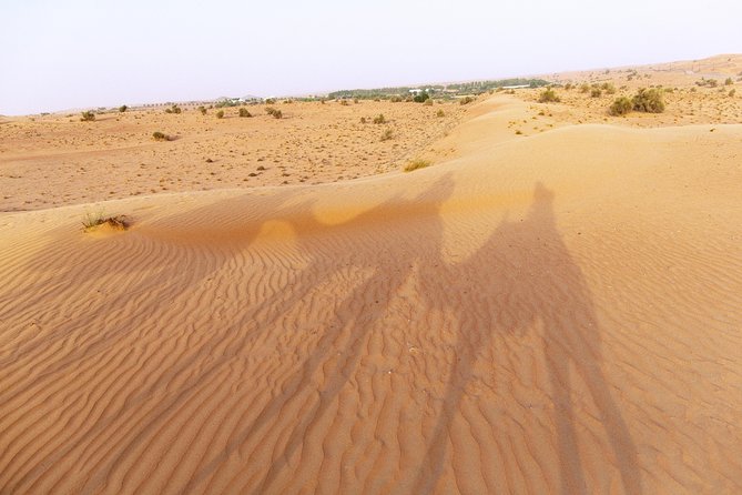 Dubai Camel Desert Safari, Traditional Meal & Heritage Activities - Tour Overview