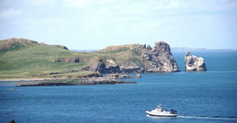 Dublin: Howth Cliffs And Irelands Eye Boat Cruise Activity Overview