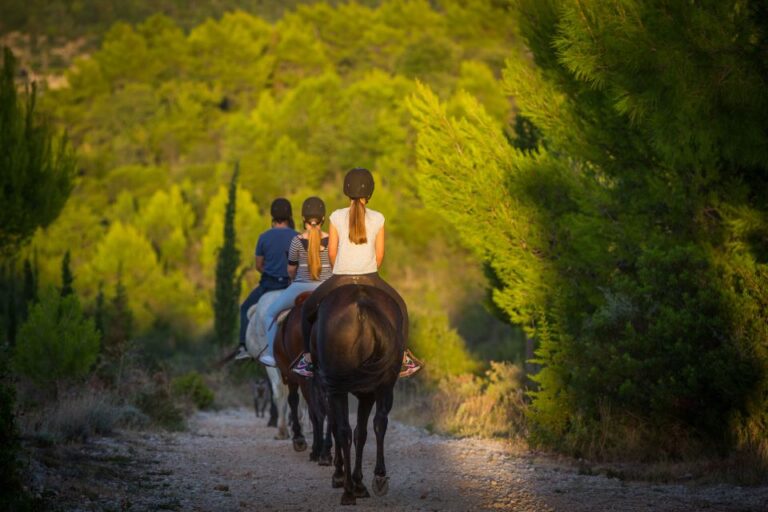 Dubrovnik Kojan Koral: Horseback Riding Activity Overview