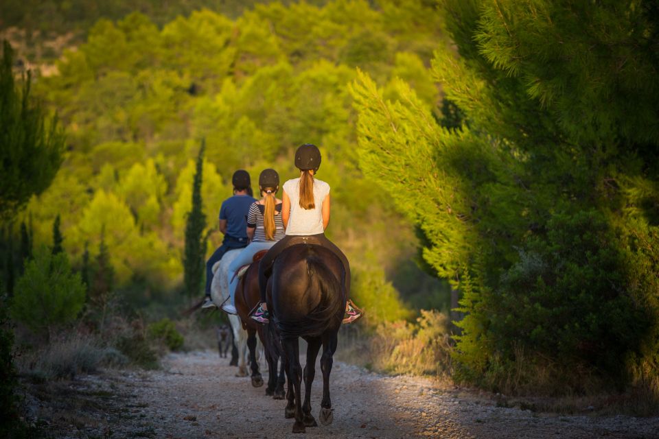 Dubrovnik Kojan Koral: Horseback Riding - Activity Overview