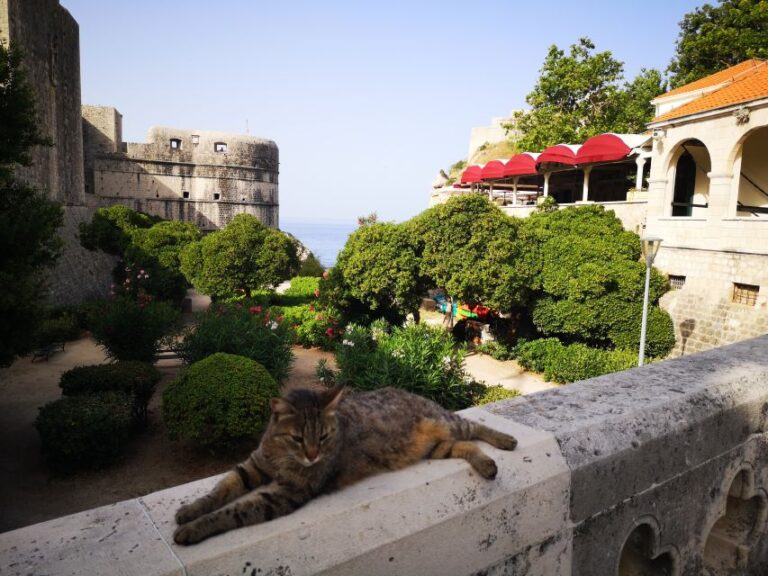 Dubrovnik Old City Private Tour Tour Overview